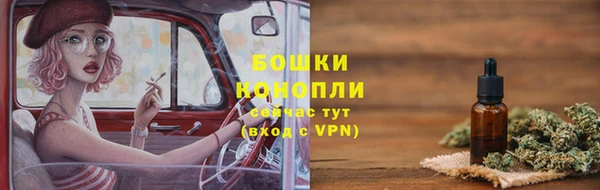 индика Белоозёрский