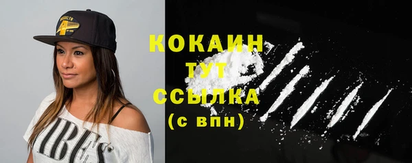 индика Белоозёрский