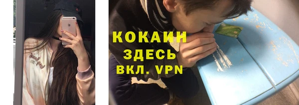 индика Белоозёрский