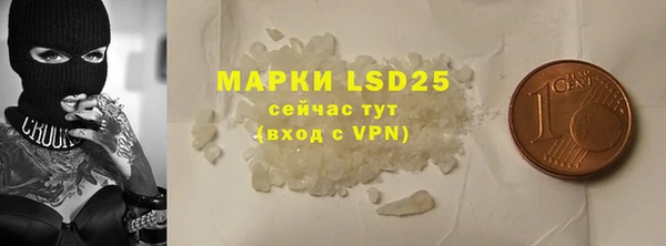 индика Белоозёрский