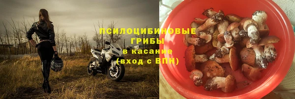 индика Белоозёрский