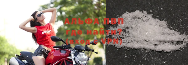 индика Белоозёрский