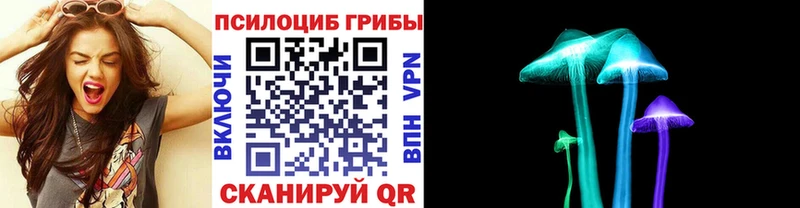 Галлюциногенные грибы прущие грибы  Купить  Грязи 
